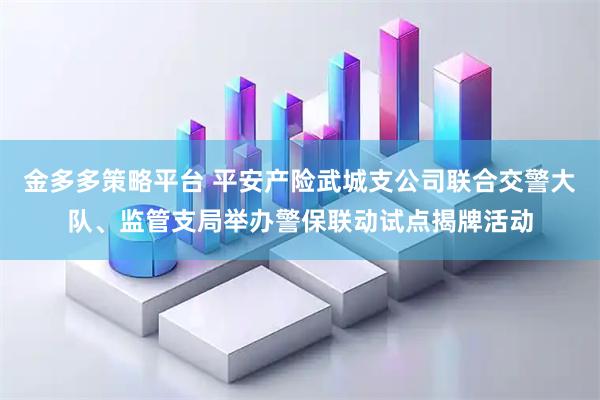 金多多策略平台 平安产险武城支公司联合交警大队、监管支局举办警保联动试点揭牌活动