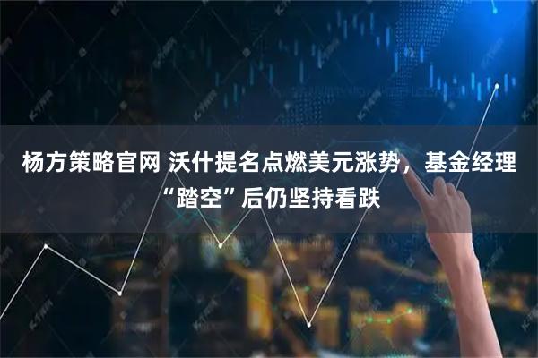 杨方策略官网 沃什提名点燃美元涨势，基金经理“踏空”后仍坚持看跌